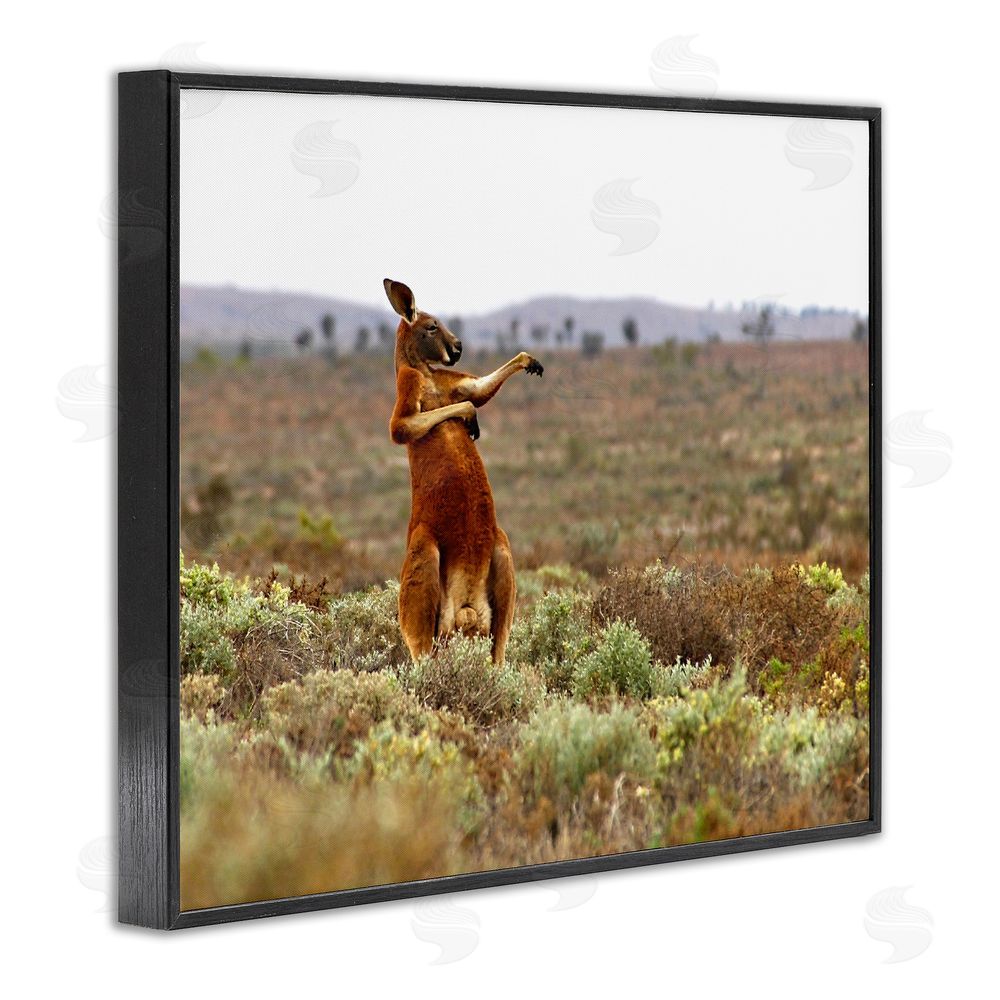Andrey Glijov Kangaroo Savanna Landscape Black Framed Giclee Wall Art Print