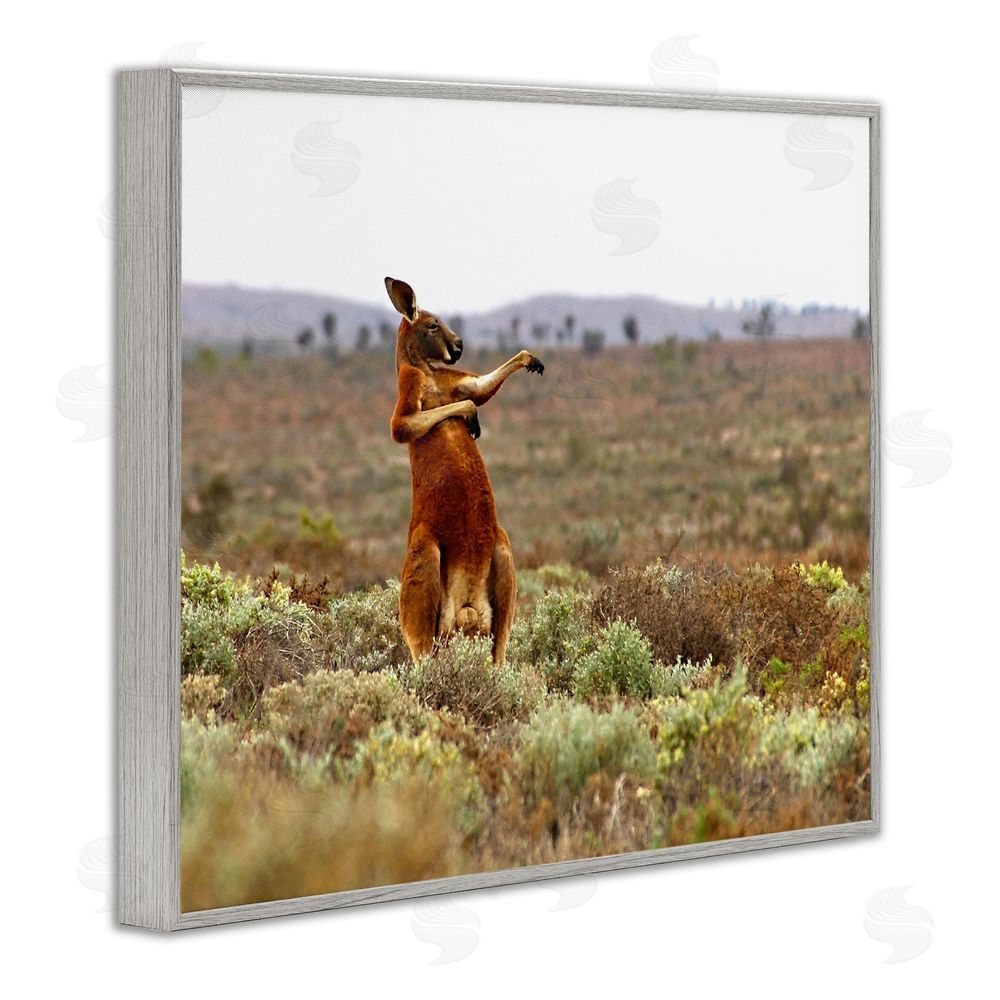 Andrey Glijov Kangaroo Savanna Landscape Gray Framed Giclee Wall Art Print