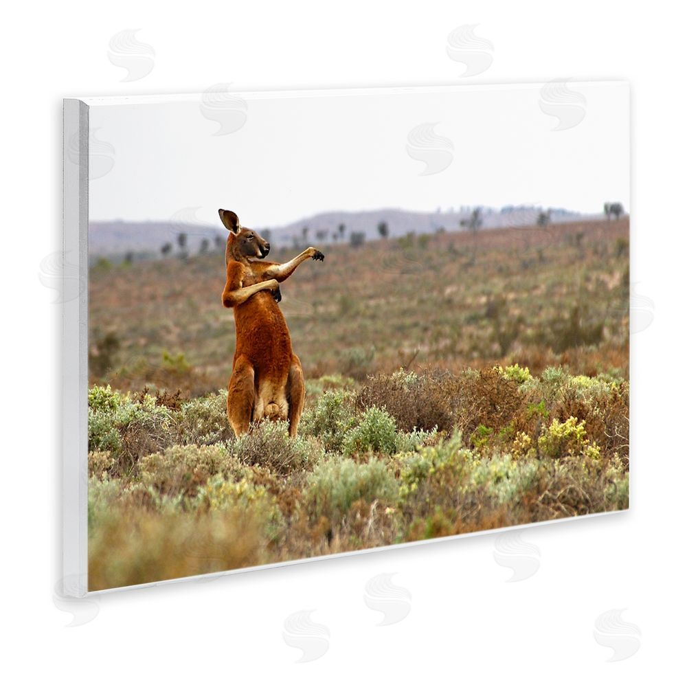Andrey Glijov Kangaroo Savanna Landscape Wall Plaque Art Print