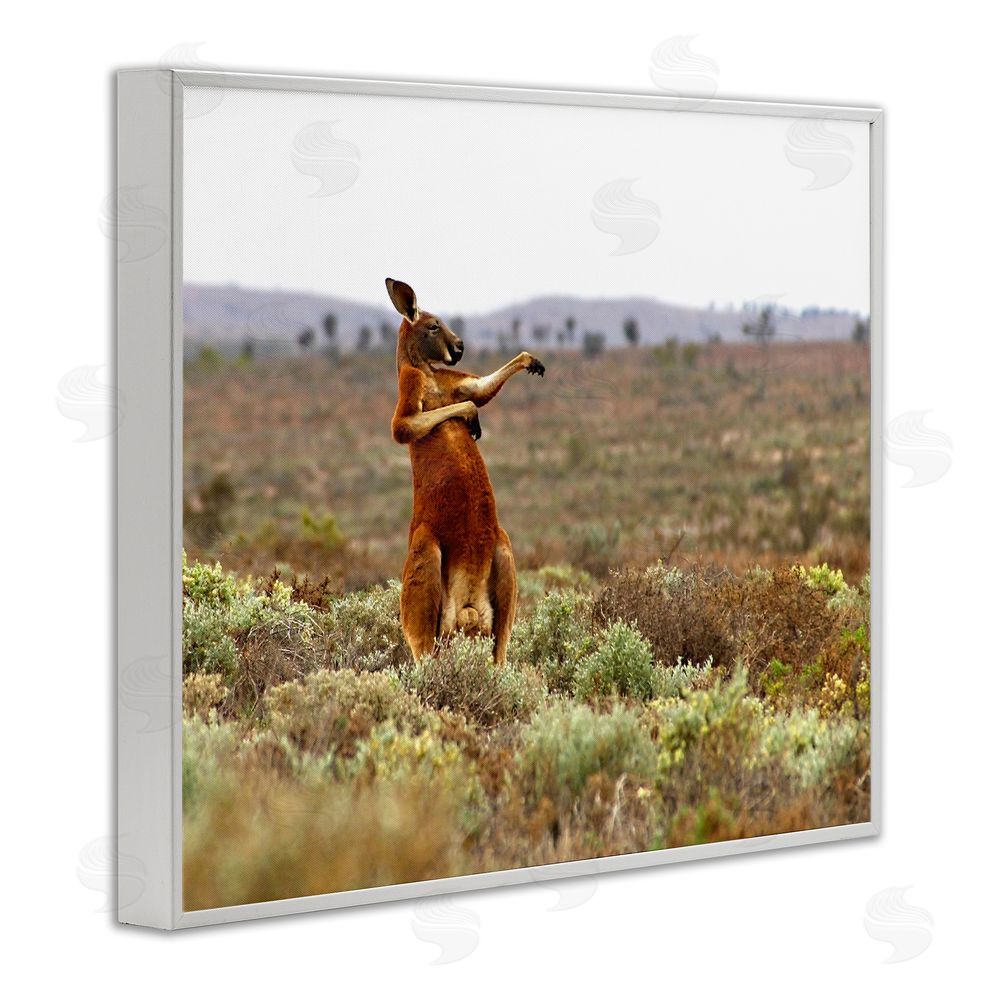 Andrey Glijov Kangaroo Savanna Landscape White Framed Giclee Wall Art Print