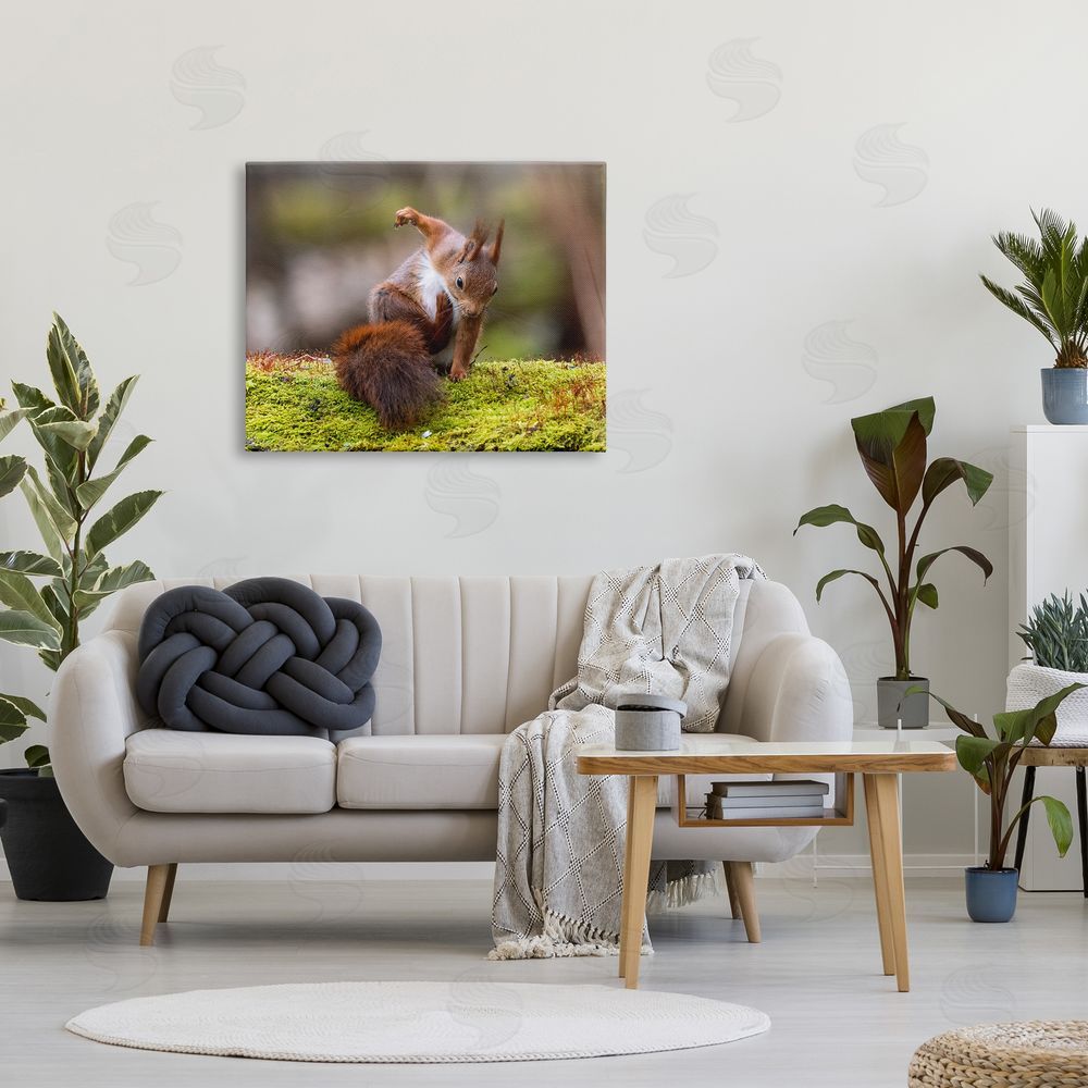 Johnny Kaapa Squirrel on Mossy Log Canvas Wall Art Print in Room