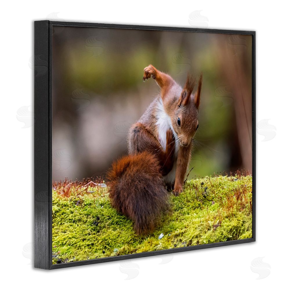 Johnny Kaapa Squirrel on Mossy Log Black Framed Giclee Wall Art Print