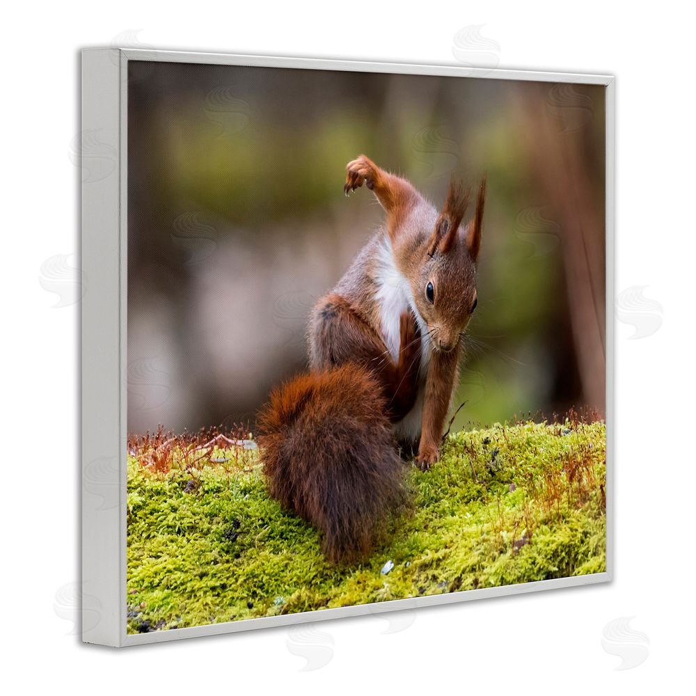 Johnny Kaapa Squirrel on Mossy Log White Framed Giclee Wall Art Print