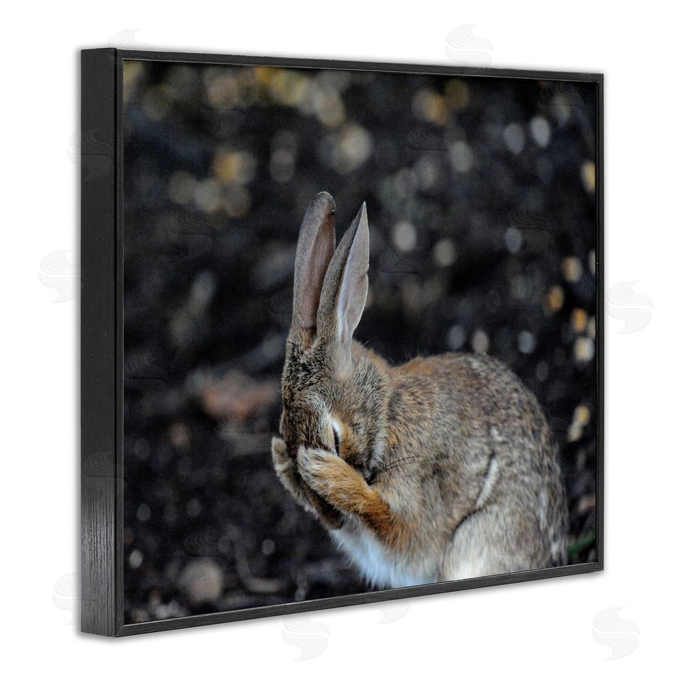 Daniel Friend Embarrassed Rabbit Photograph Black Framed Giclee Wall Art Print