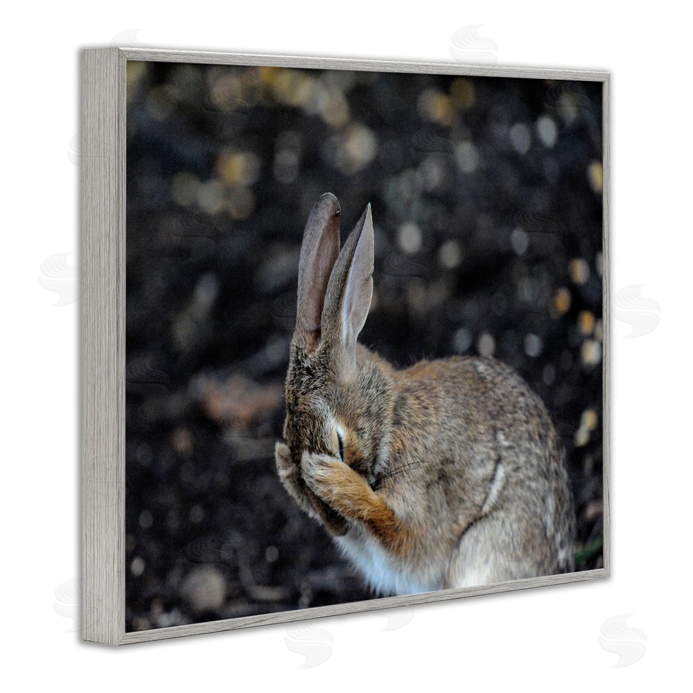 Daniel Friend Embarrassed Rabbit Photograph Gray Framed Giclee Wall Art Print