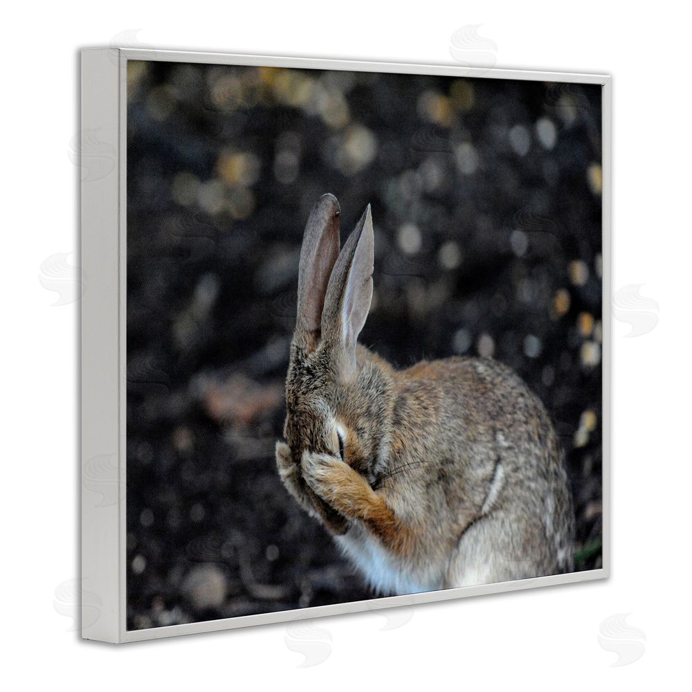 Daniel Friend Embarrassed Rabbit Photograph White Framed Giclee Wall Art Print