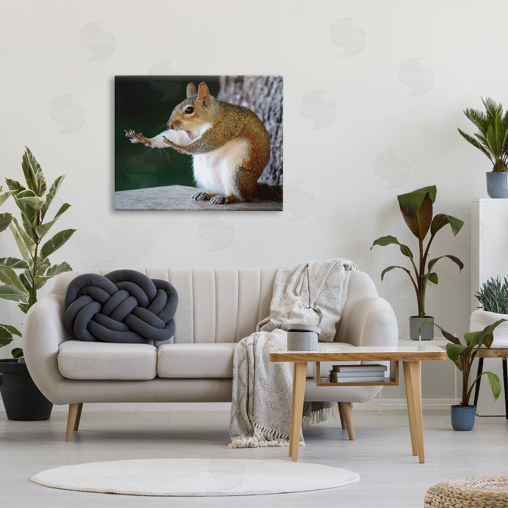 Mary McGowan Funny Shocked Pose Squirrel Canvas Wall Art Print in Room