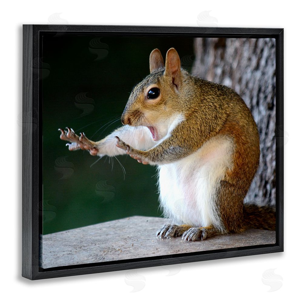 Mary McGowan Funny Shocked Pose Squirrel Black Floating Frame Canvas Wall Art Print