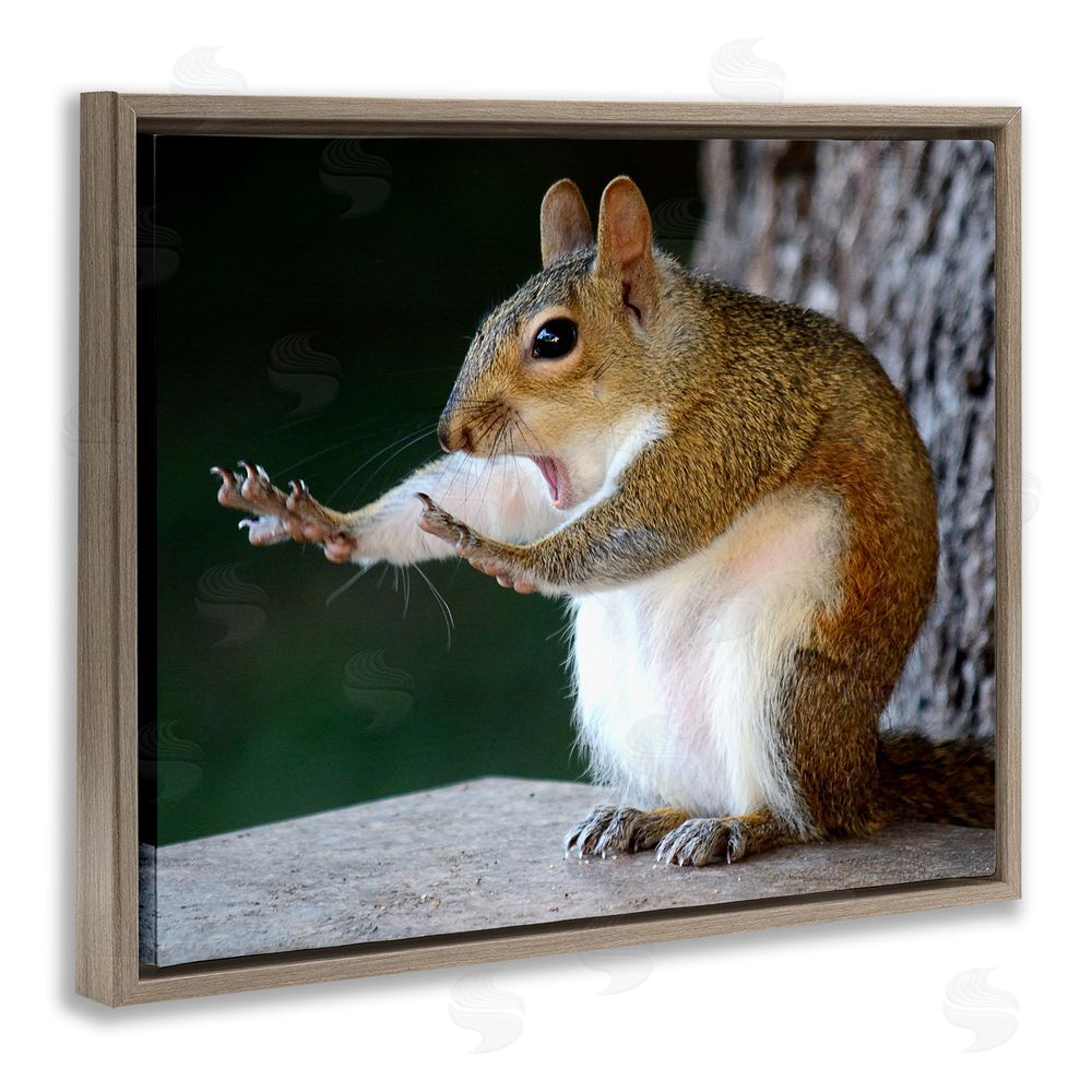 Mary McGowan Funny Shocked Pose Squirrel Brown Floating Frame Canvas Wall Art Print
