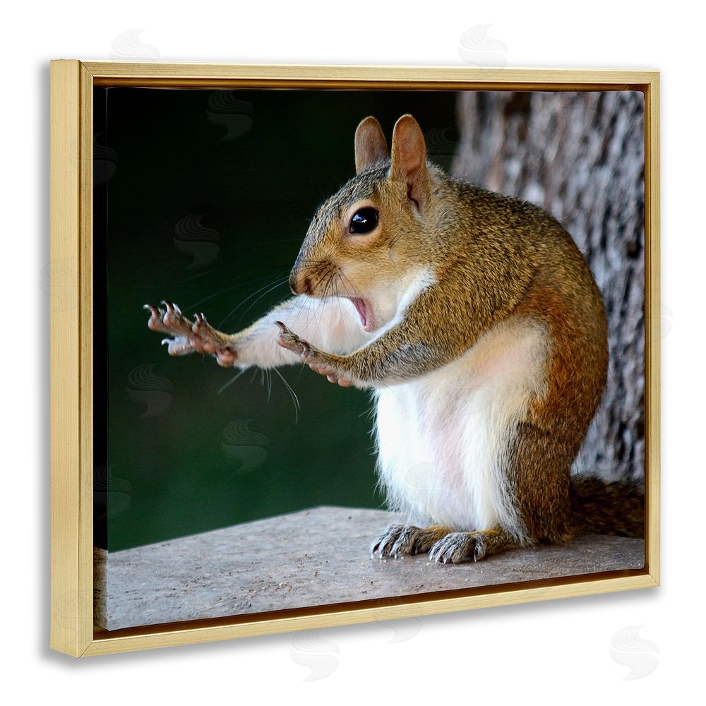 Mary McGowan Funny Shocked Pose Squirrel Gold Floating Frame Canvas Wall Art Print