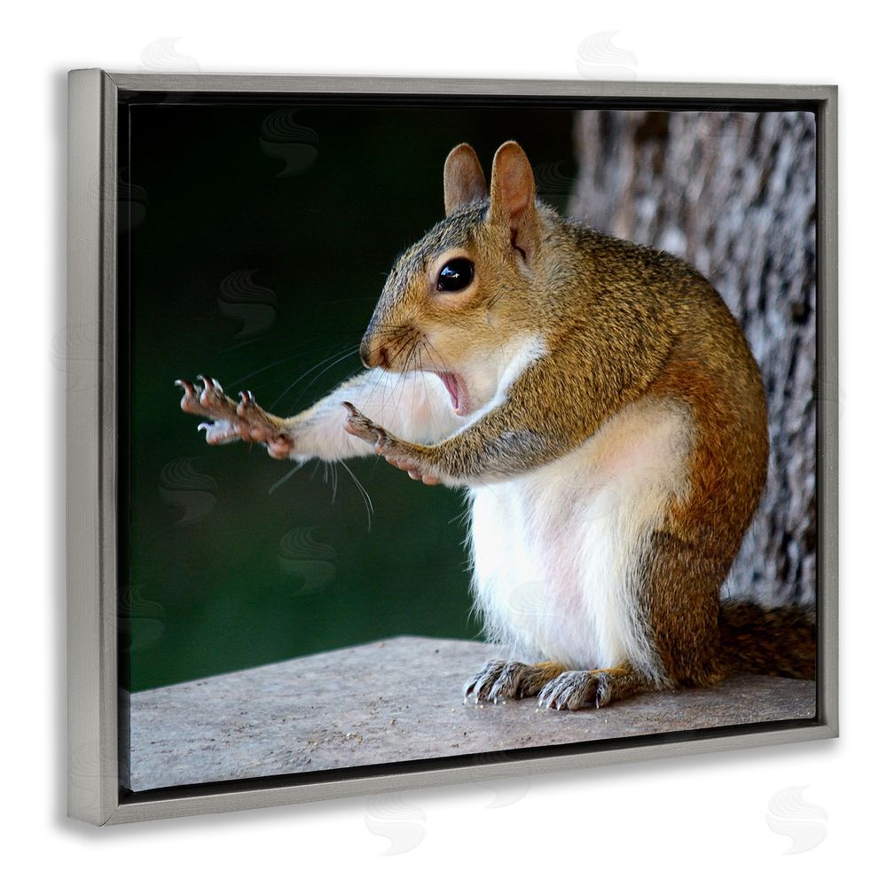 Mary McGowan Funny Shocked Pose Squirrel Grey Floating Frame Canvas Wall Art Print