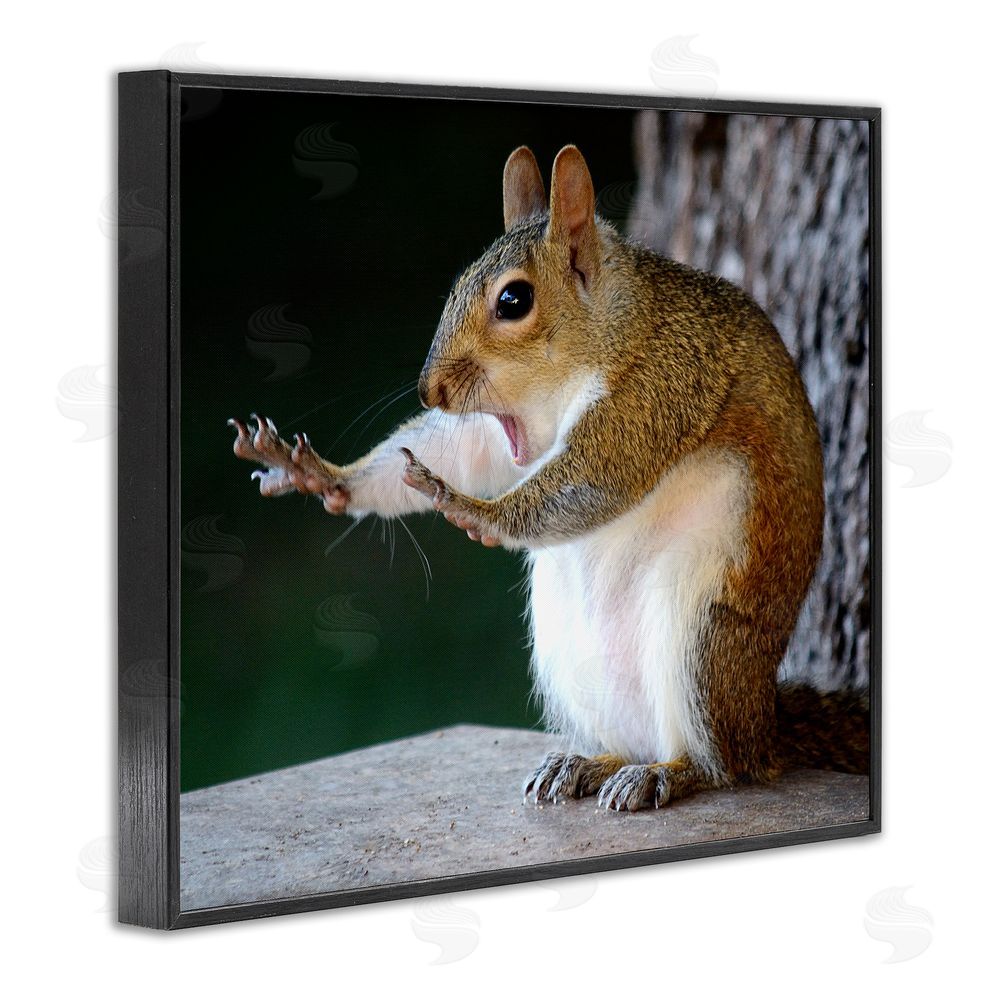 Mary McGowan Funny Shocked Pose Squirrel Black Framed Giclee Wall Art Print