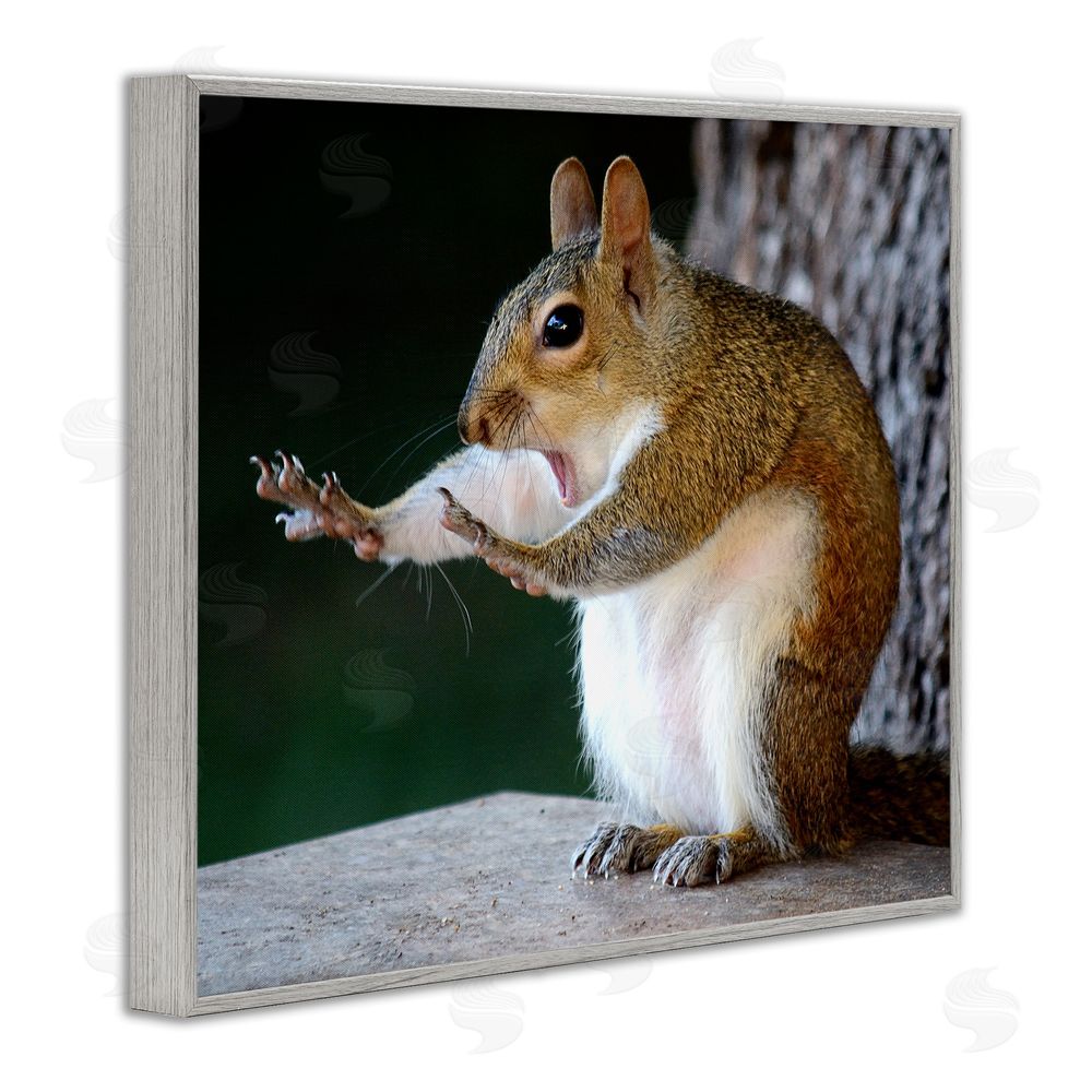 Mary McGowan Funny Shocked Pose Squirrel Gray Framed Giclee Wall Art Print