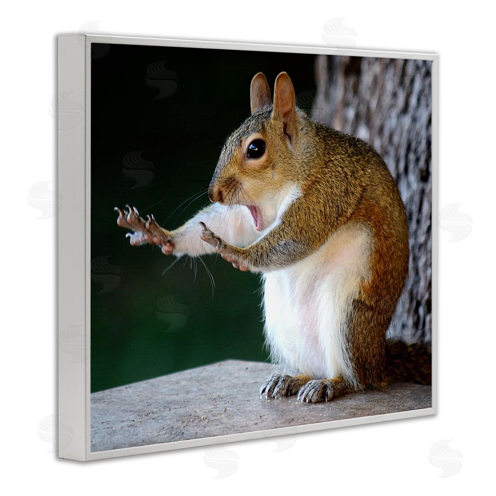Mary McGowan Funny Shocked Pose Squirrel White Framed Giclee Wall Art Print