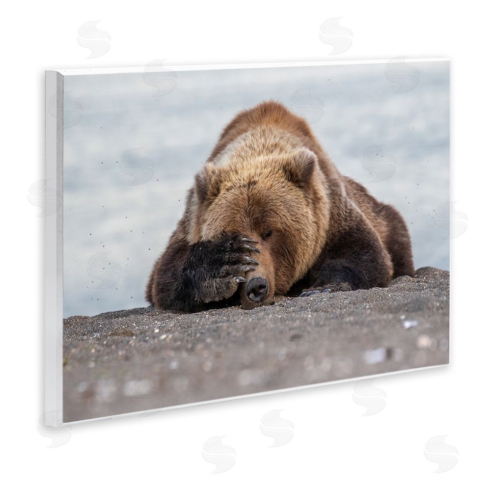 Eric Fisher Monday Blues Bear Wall Plaque Art Print