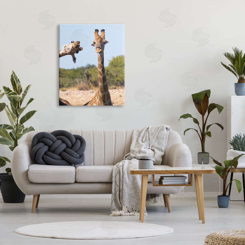 Brigitte Alcalay Marcon Funny Photobomb Giraffes Canvas Wall Art Print in Room