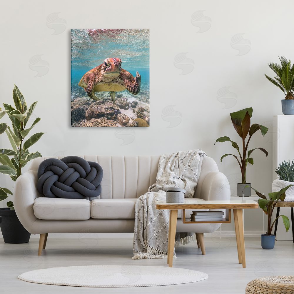 Mark Fitzpatrick Angry Turtle Middle Finger Canvas Wall Art Print in Room