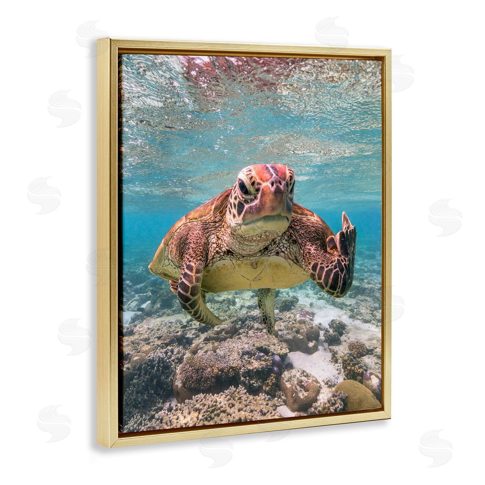 Mark Fitzpatrick Angry Turtle Middle Finger Gold Floating Frame Canvas Wall Art Print