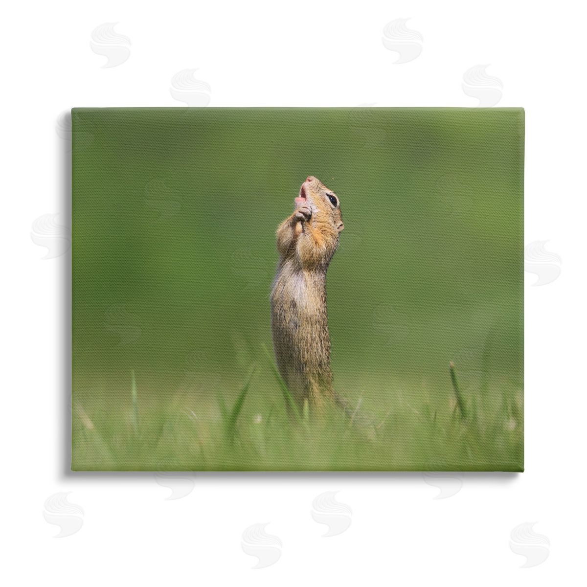 Roland Kranitz O Sole Mio Funny Animal Stretched Canvas Wall Art Print