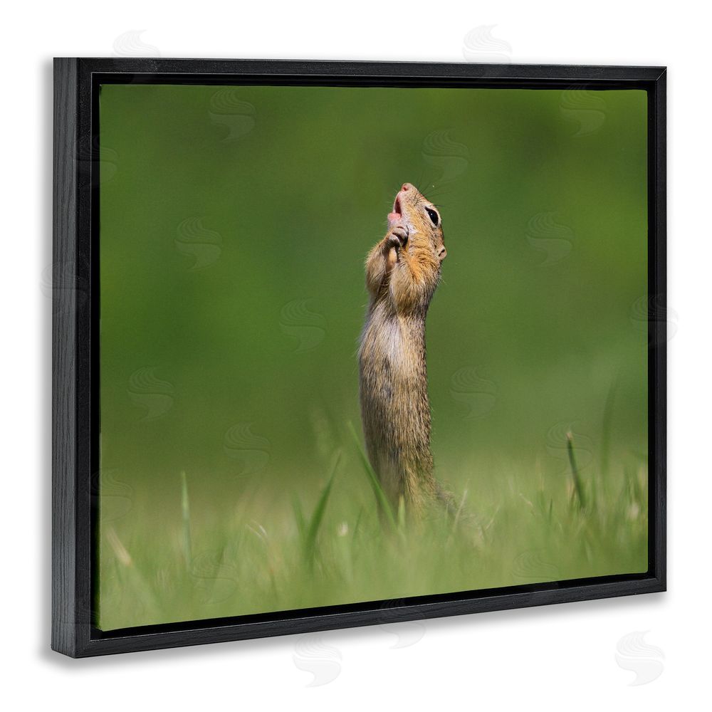 Roland Kranitz O Sole Mio Funny Animal Black Floating Frame Canvas Wall Art Print