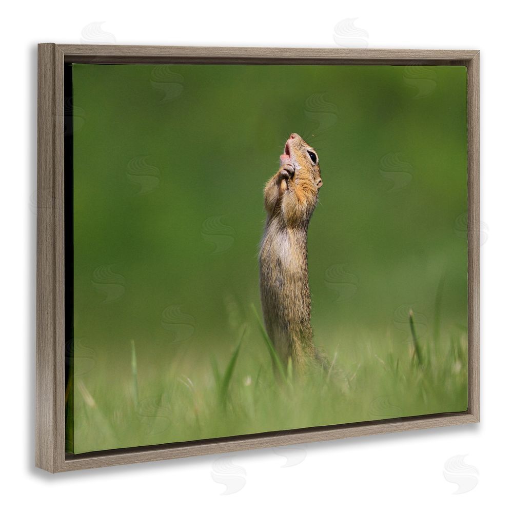 Roland Kranitz O Sole Mio Funny Animal Brown Floating Frame Canvas Wall Art Print