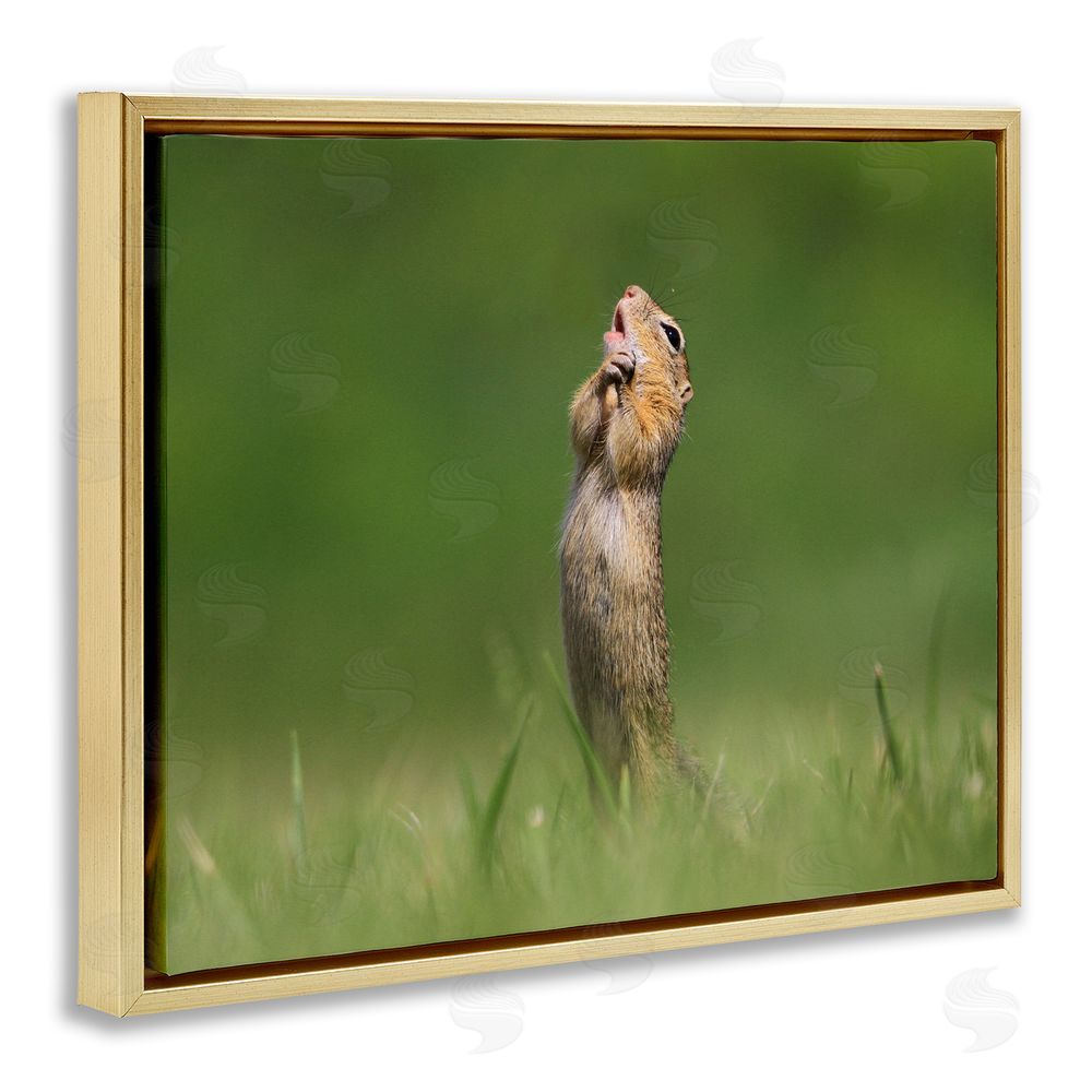 Roland Kranitz O Sole Mio Funny Animal Gold Floating Frame Canvas Wall Art Print