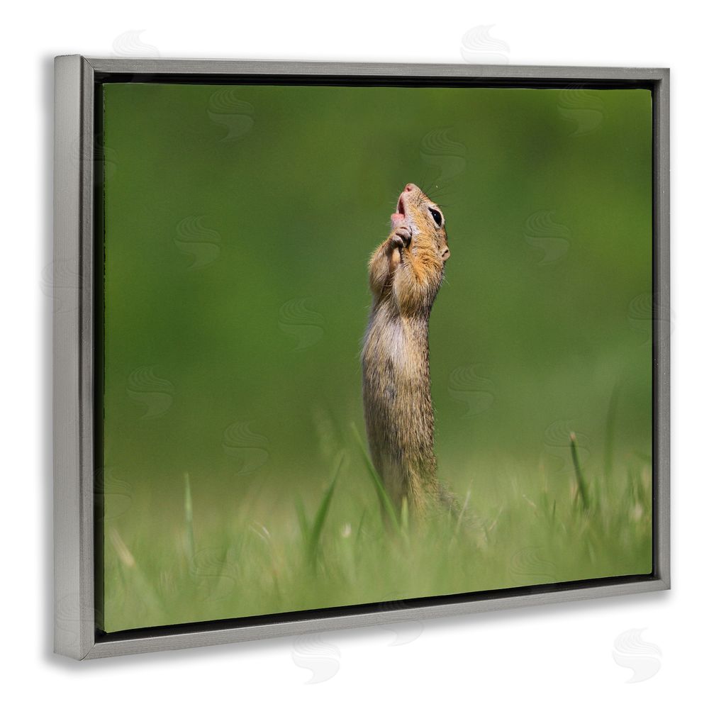 Roland Kranitz O Sole Mio Funny Animal Grey Floating Frame Canvas Wall Art Print