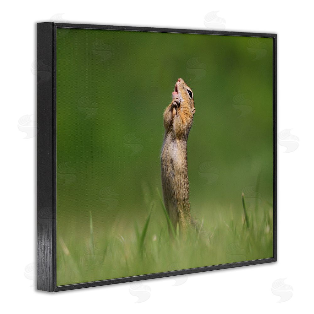 Roland Kranitz O Sole Mio Funny Animal Black Framed Giclee Wall Art Print