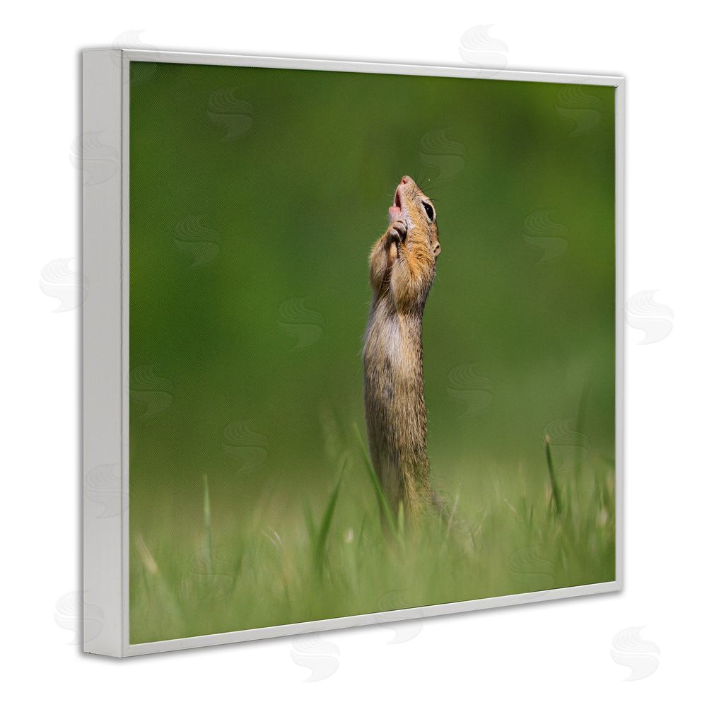 Roland Kranitz O Sole Mio Funny Animal White Framed Giclee Wall Art Print
