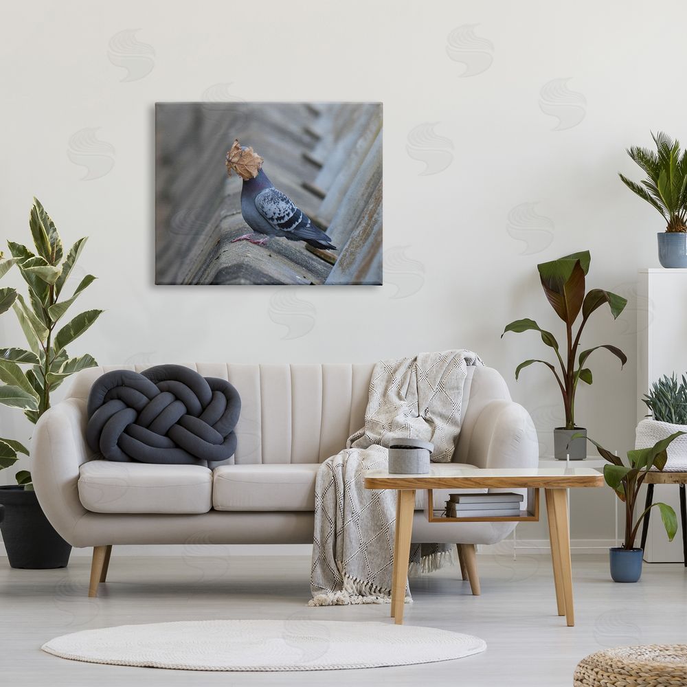 John Speirs Funny Leaf in Pigeon's Face Canvas Wall Art Print in Room