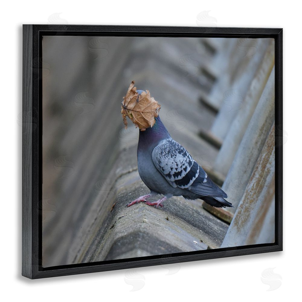 John Speirs Funny Leaf in Pigeon's Face Black Floating Frame Canvas Wall Art Print