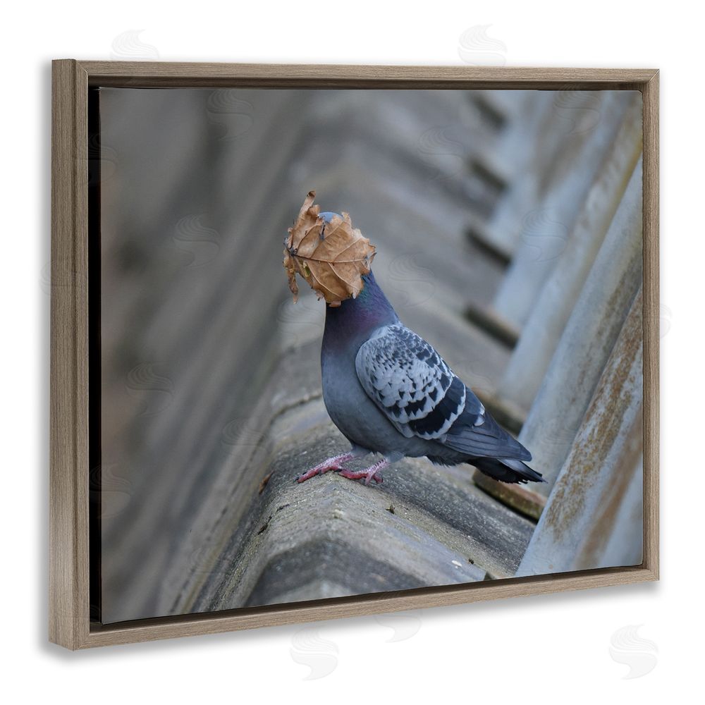 John Speirs Funny Leaf in Pigeon's Face Brown Floating Frame Canvas Wall Art Print
