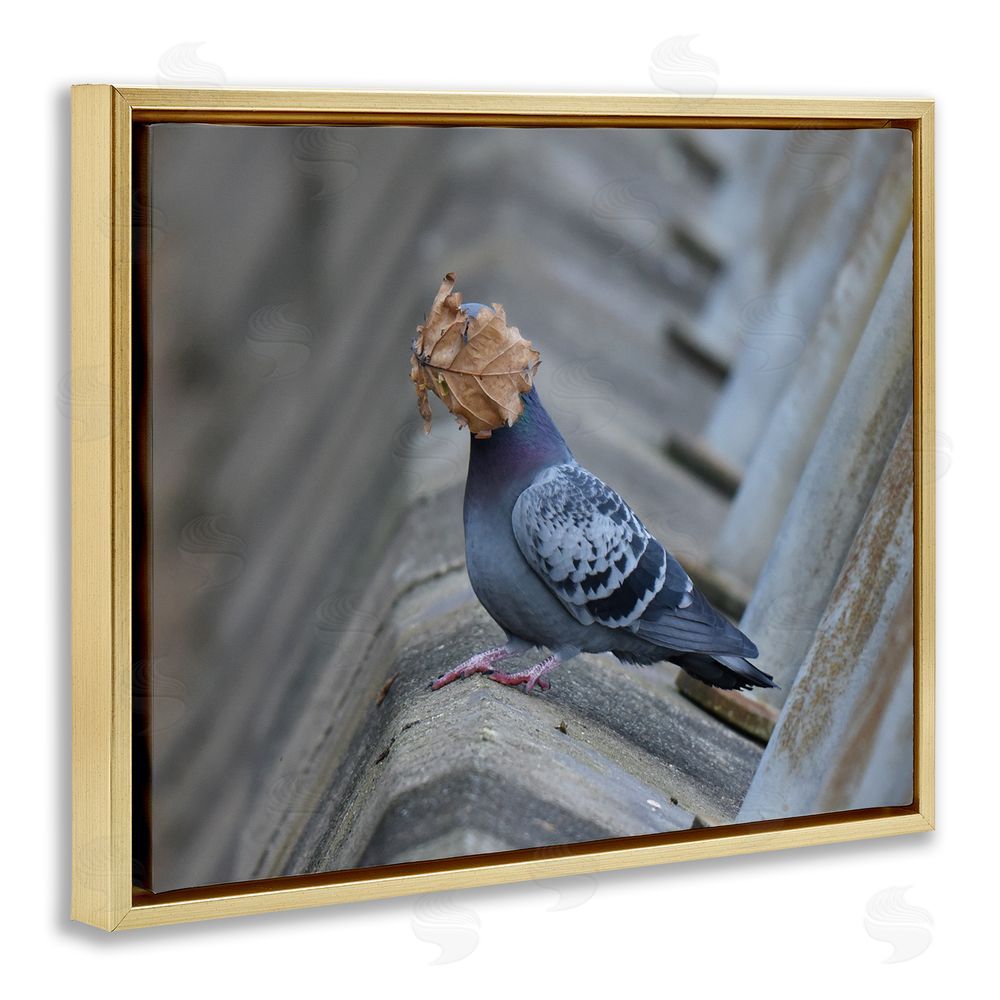 John Speirs Funny Leaf in Pigeon's Face Gold Floating Frame Canvas Wall Art Print