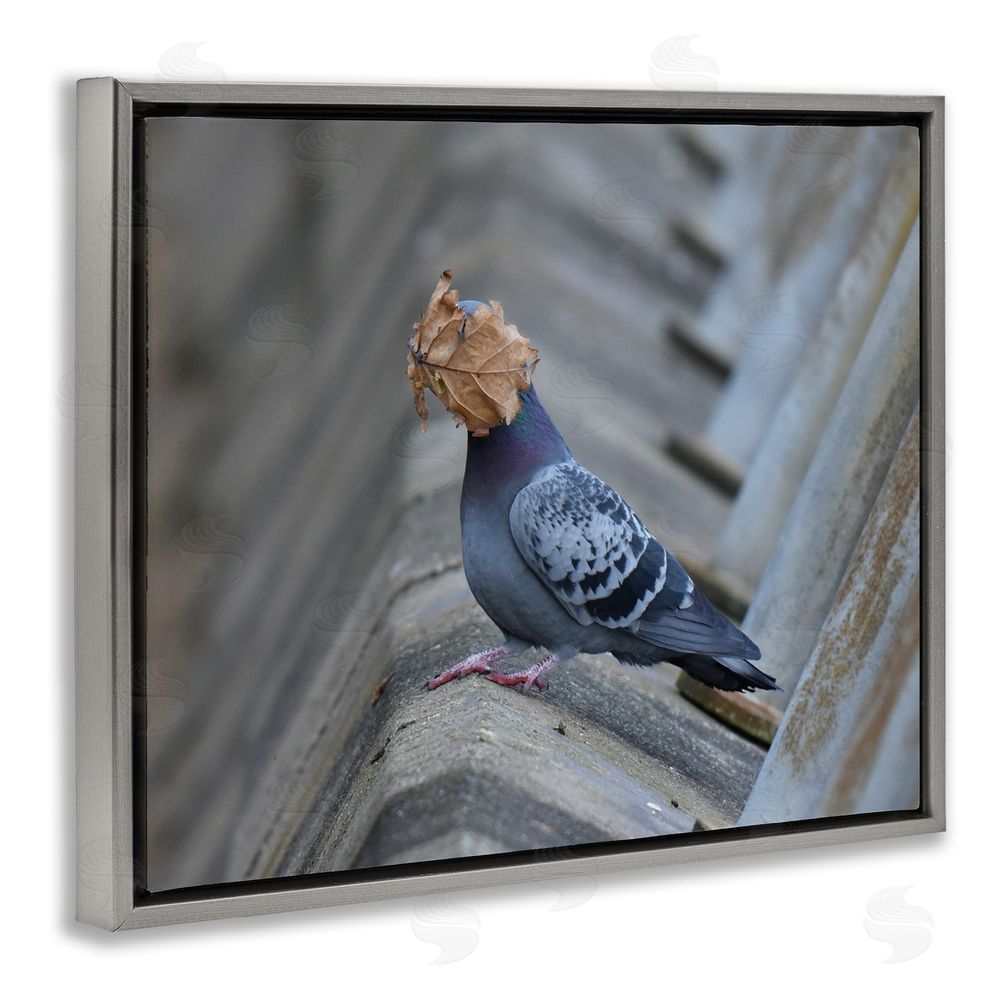 John Speirs Funny Leaf in Pigeon's Face Grey Floating Frame Canvas Wall Art Print