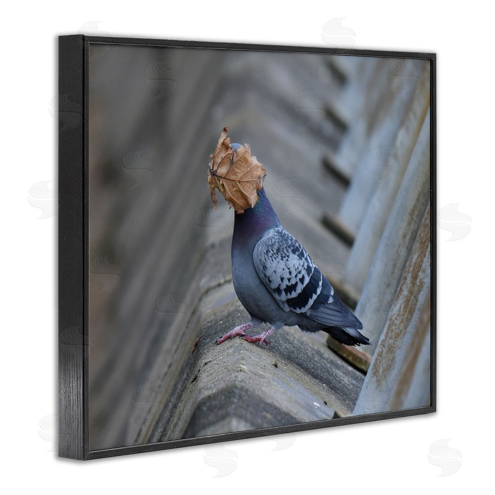 John Speirs Funny Leaf in Pigeon's Face Black Framed Giclee Wall Art Print