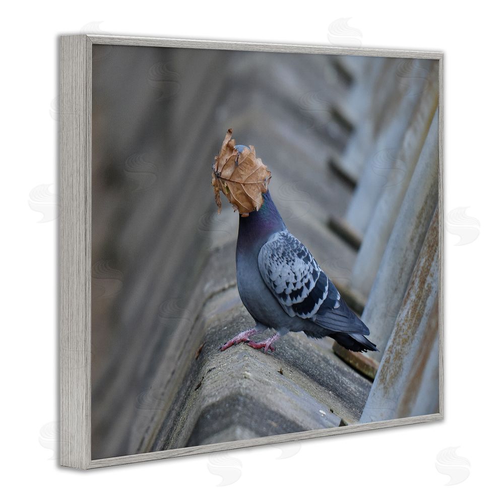 John Speirs Funny Leaf in Pigeon's Face Gray Framed Giclee Wall Art Print