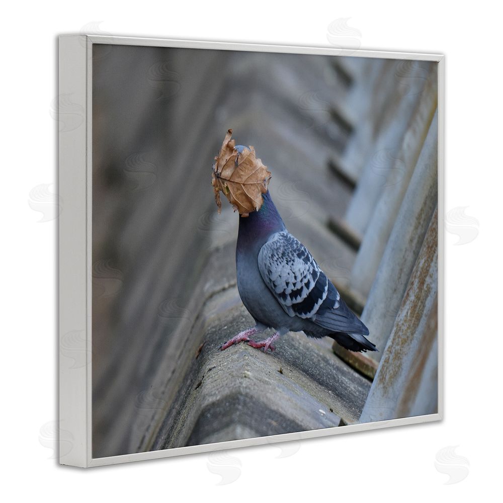 John Speirs Funny Leaf in Pigeon's Face White Framed Giclee Wall Art Print