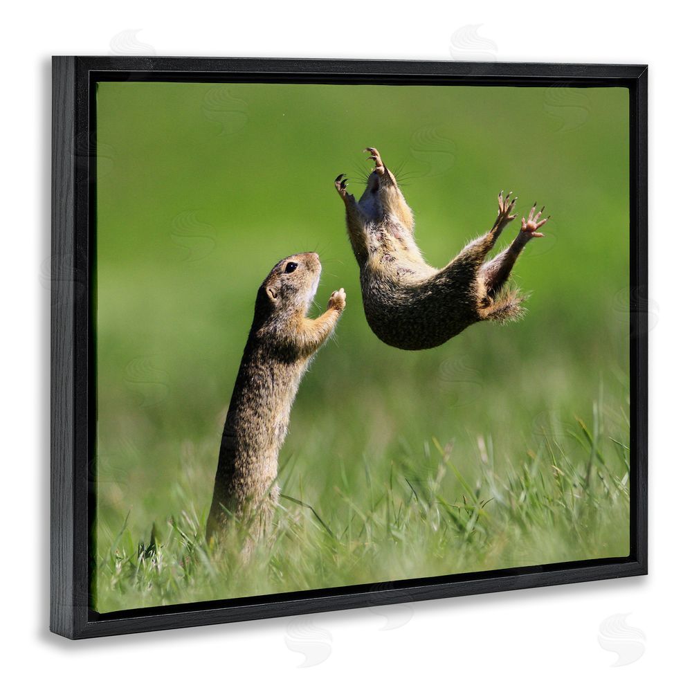 Roland Kranitz Prairie Dogs Photography Black Floating Frame Canvas Wall Art Print