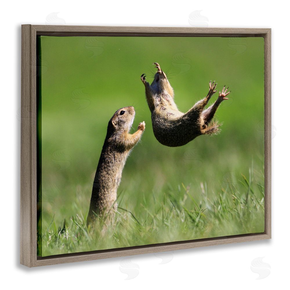Roland Kranitz Prairie Dogs Photography Brown Floating Frame Canvas Wall Art Print