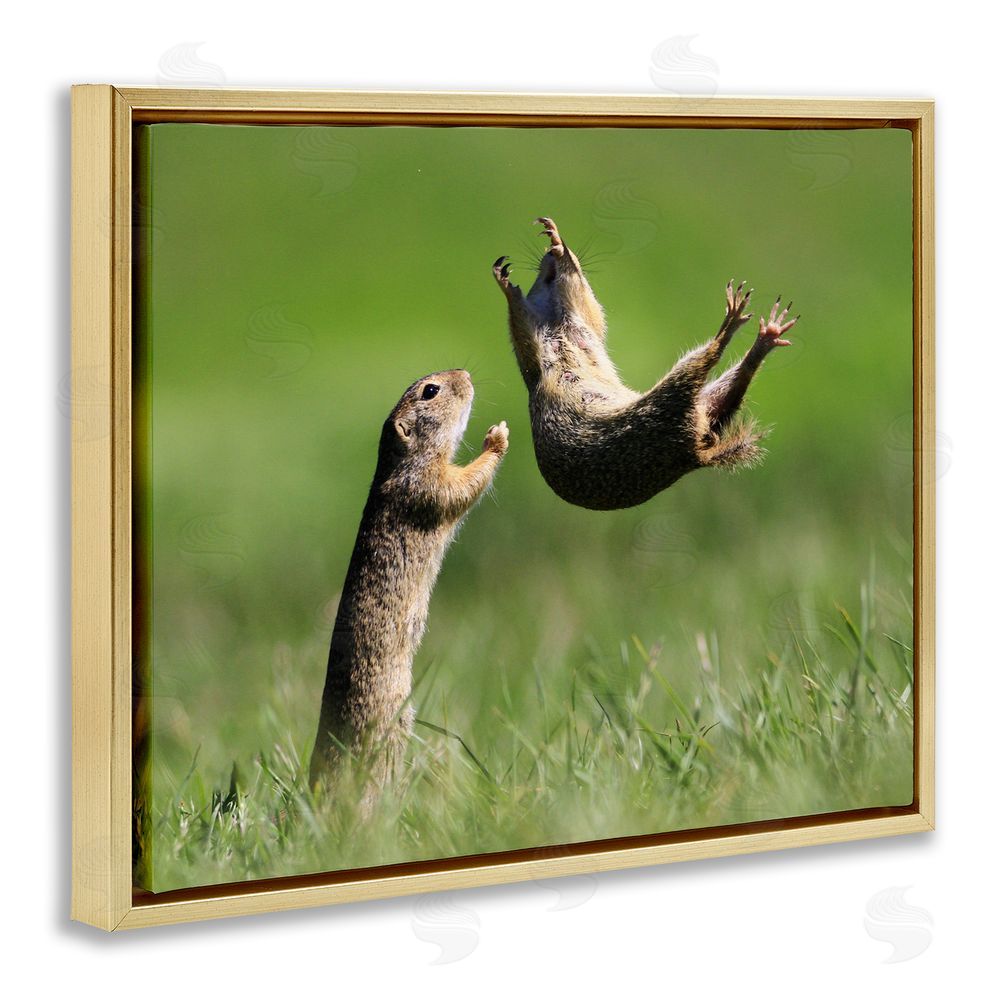 Roland Kranitz Prairie Dogs Photography Gold Floating Frame Canvas Wall Art Print