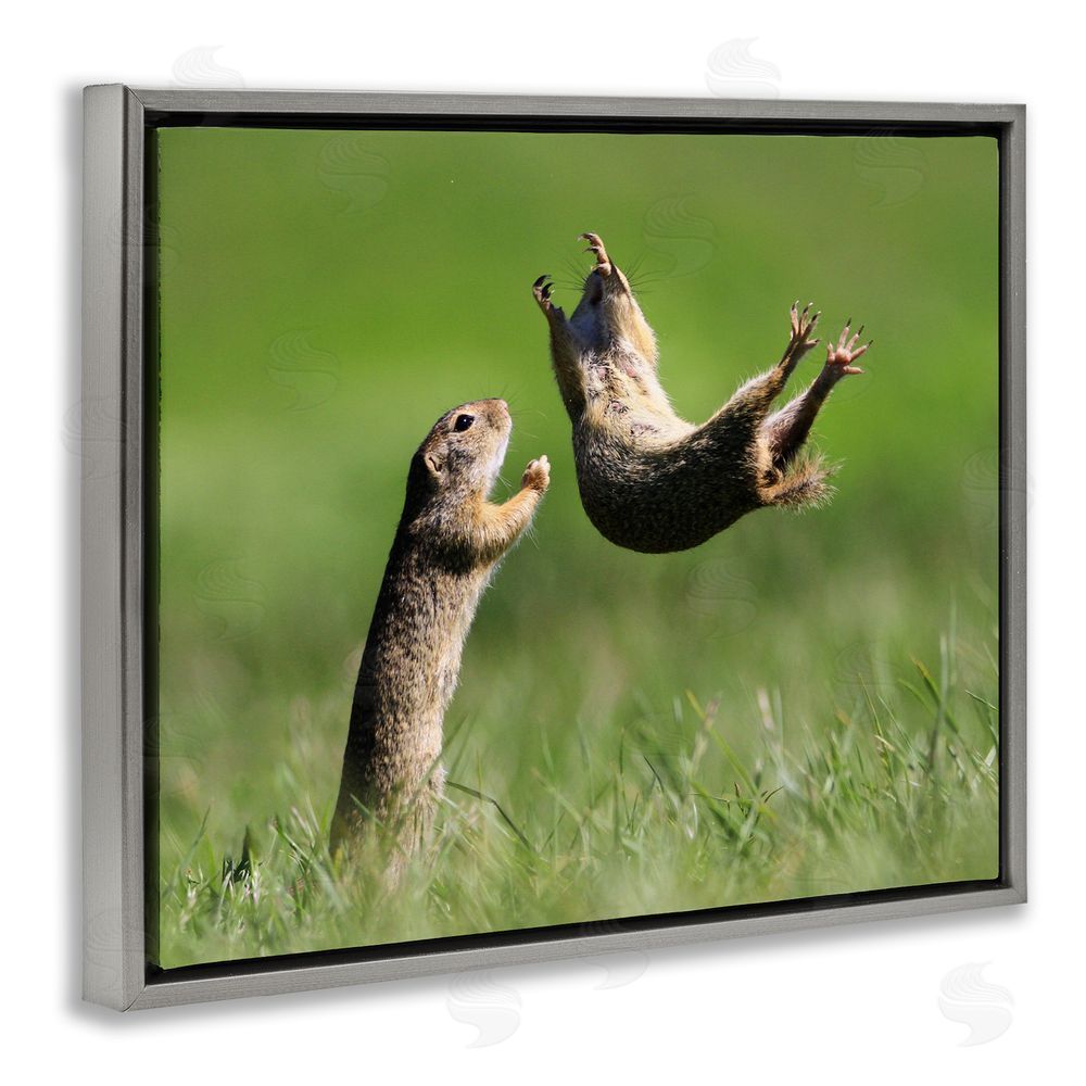 Roland Kranitz Prairie Dogs Photography Grey Floating Frame Canvas Wall Art Print