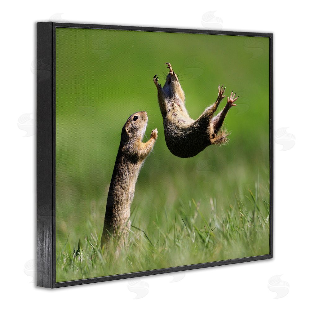 Roland Kranitz Prairie Dogs Photography Black Framed Giclee Wall Art Print