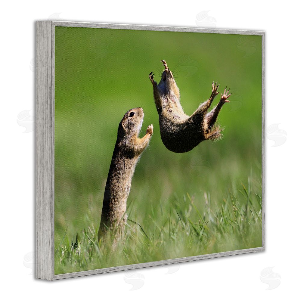 Roland Kranitz Prairie Dogs Photography Gray Framed Giclee Wall Art Print