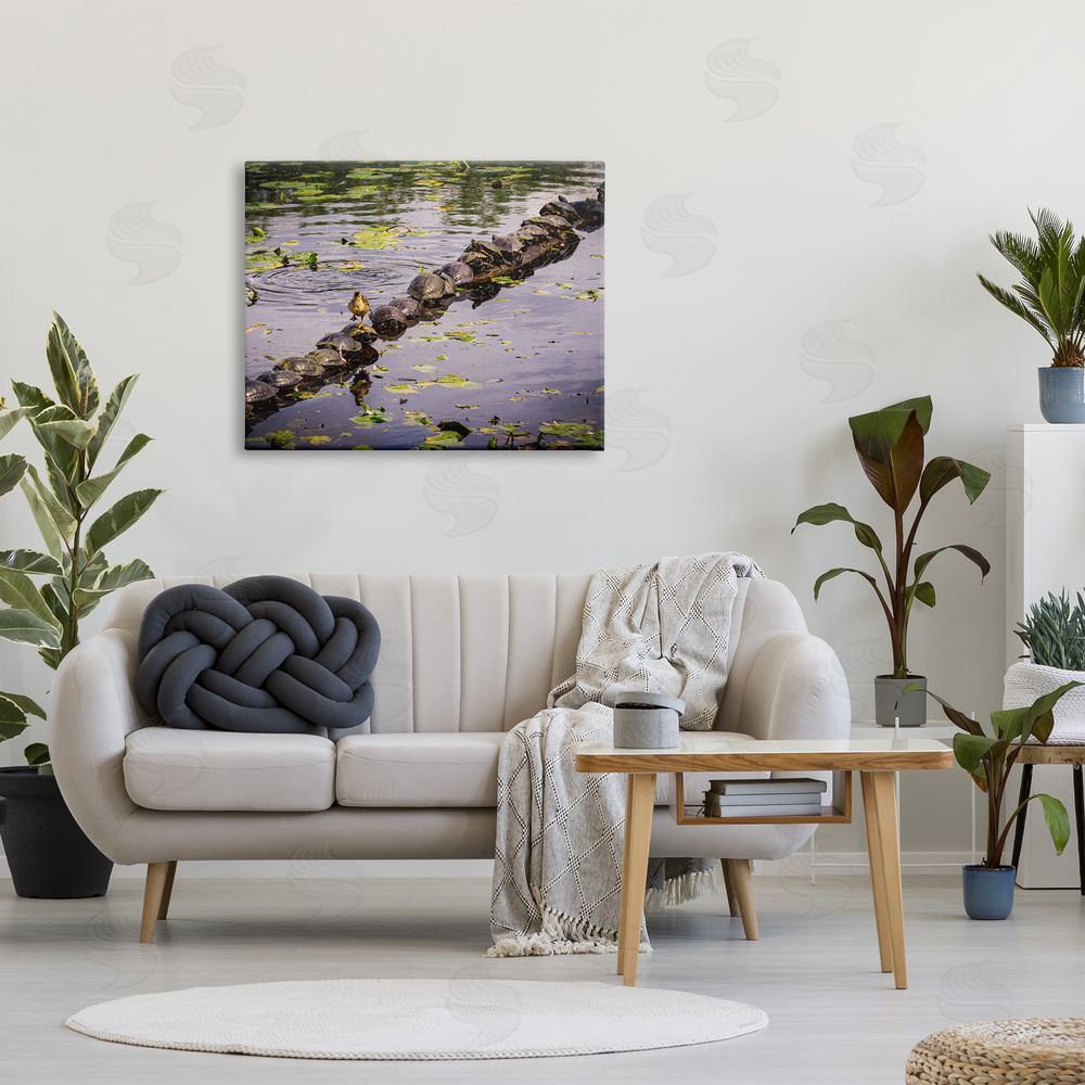 Ryan Sims Bird on Turtle Backs Canvas Wall Art Print in Room