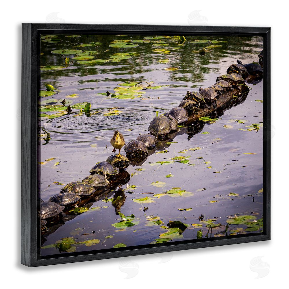 Ryan Sims Bird on Turtle Backs Black Floating Frame Canvas Wall Art Print