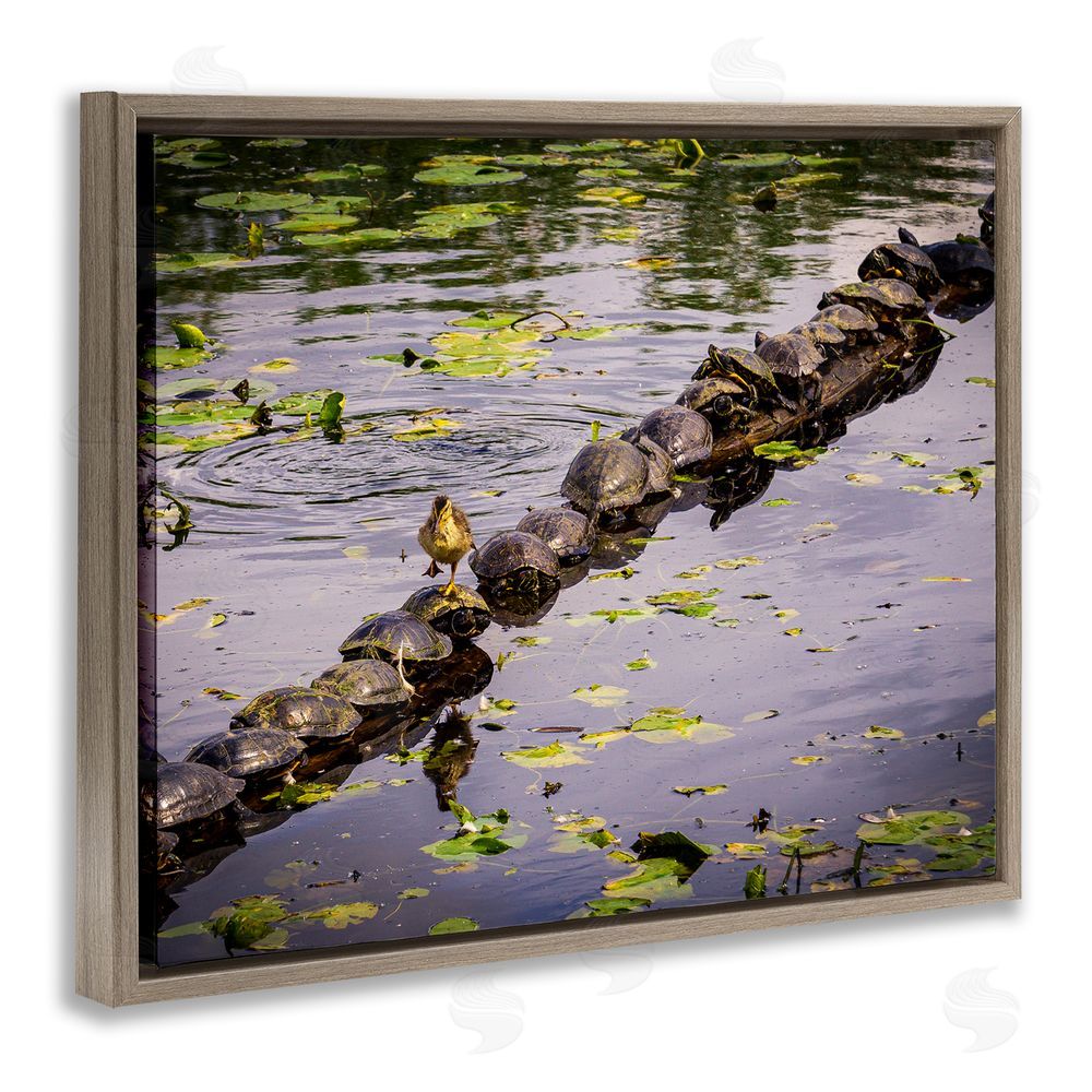 Ryan Sims Bird on Turtle Backs Brown Floating Frame Canvas Wall Art Print