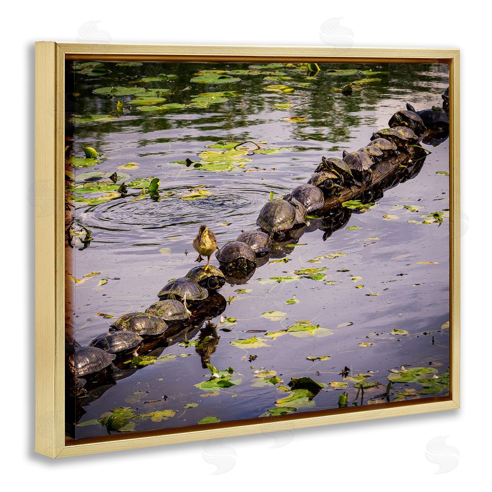 Ryan Sims Bird on Turtle Backs Gold Floating Frame Canvas Wall Art Print