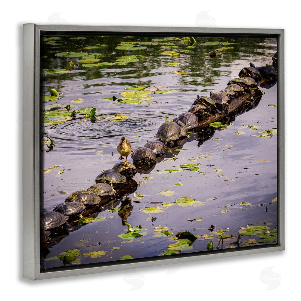 Ryan Sims Bird on Turtle Backs Grey Floating Frame Canvas Wall Art Print