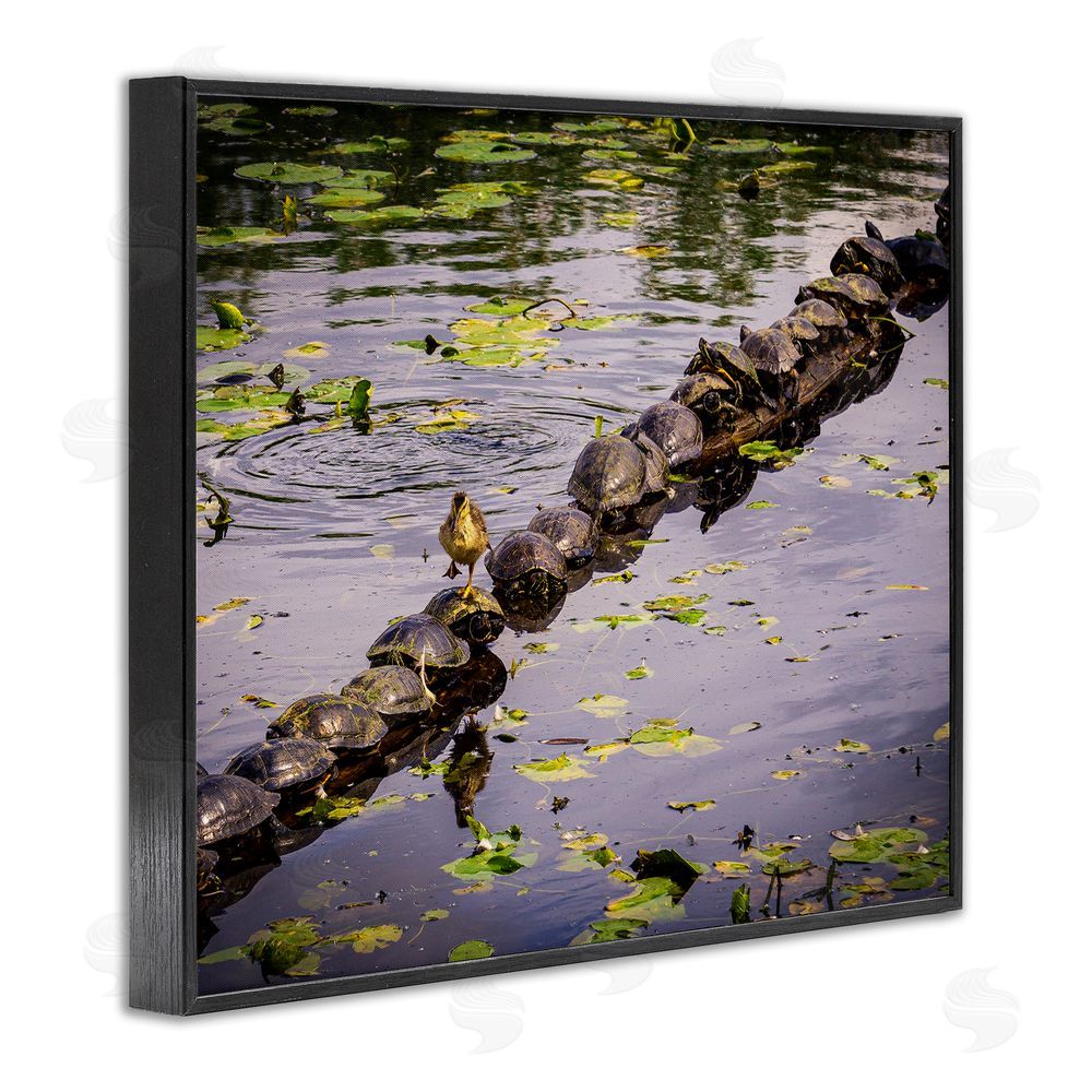 Ryan Sims Bird on Turtle Backs Black Framed Giclee Wall Art Print