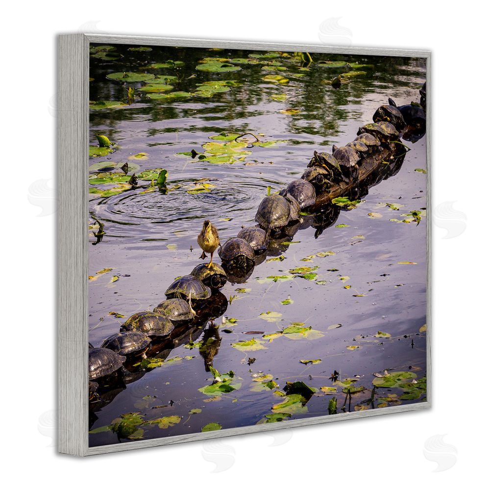 Ryan Sims Bird on Turtle Backs Gray Framed Giclee Wall Art Print